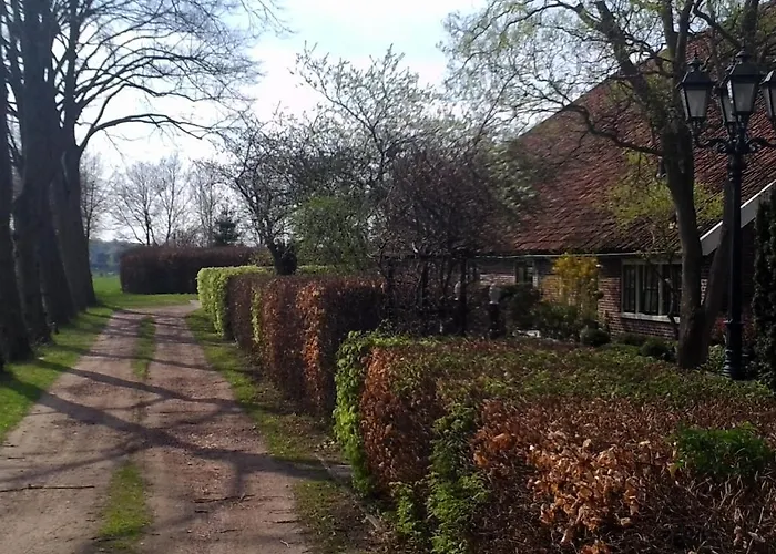 Bed & Breakfast Uiterburen