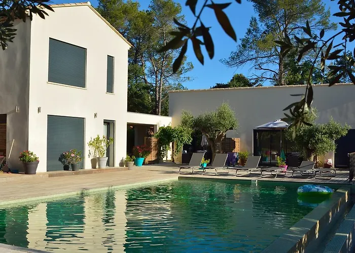Sous les oliviers - Piscine chauffée - Studios de standing climatisés