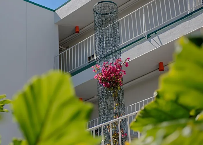 Oasis Inn