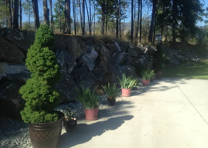 Eagle'S Nest B&B