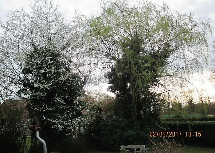 B&B Roseland Bruges