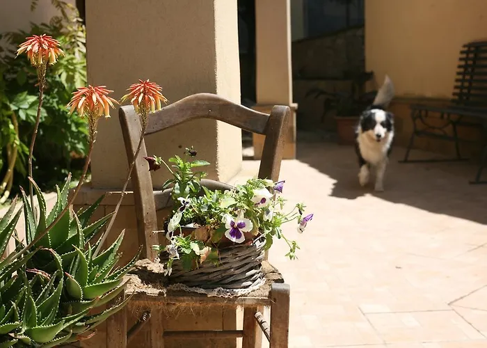Appartamento A Casa di Gesuè