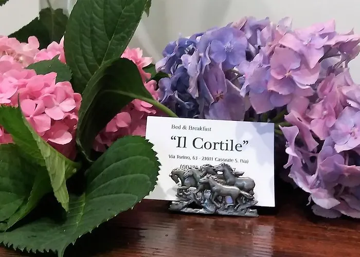 B&B Il Cortile Malpensa