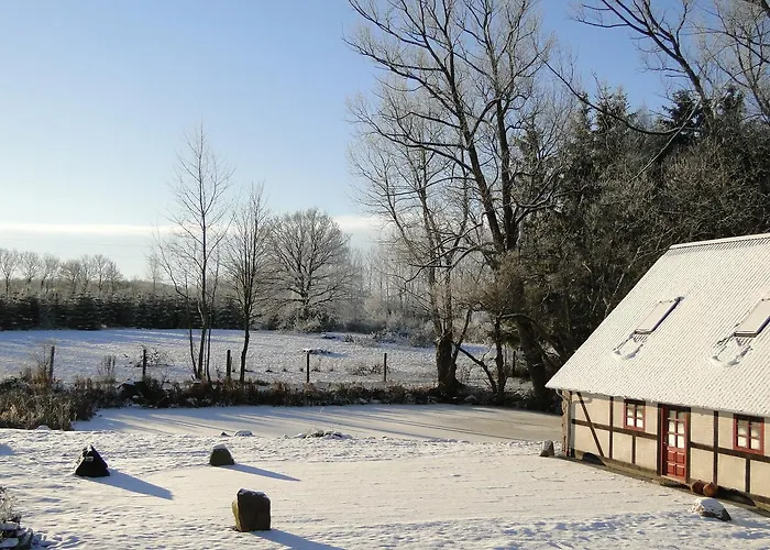Dyssegaard B&B