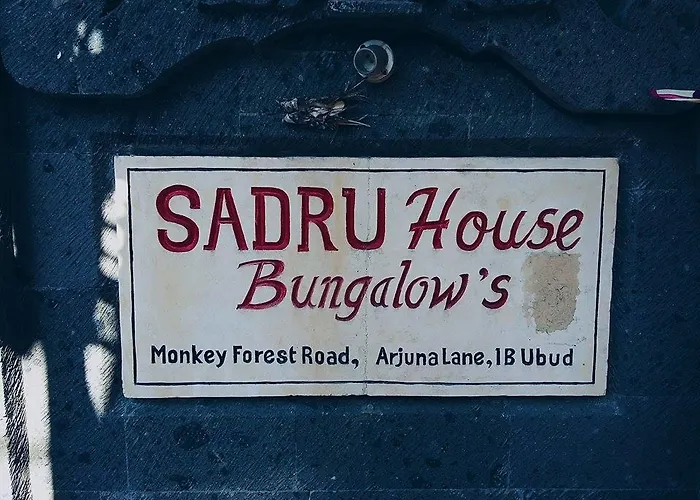 Sadru House