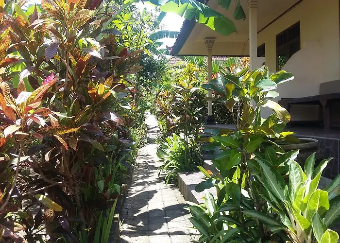 Surya Homestay