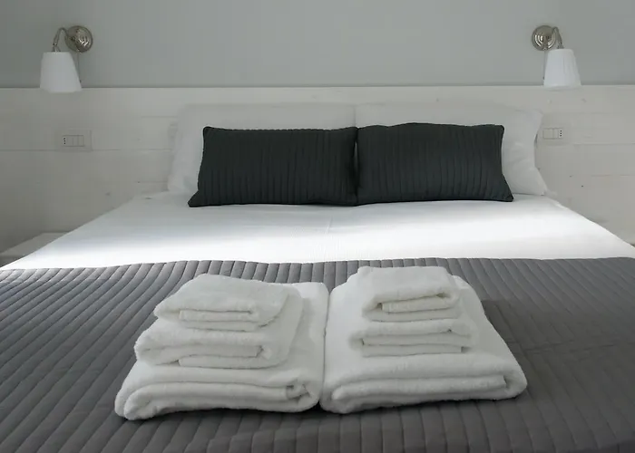 B&B Bucci 54