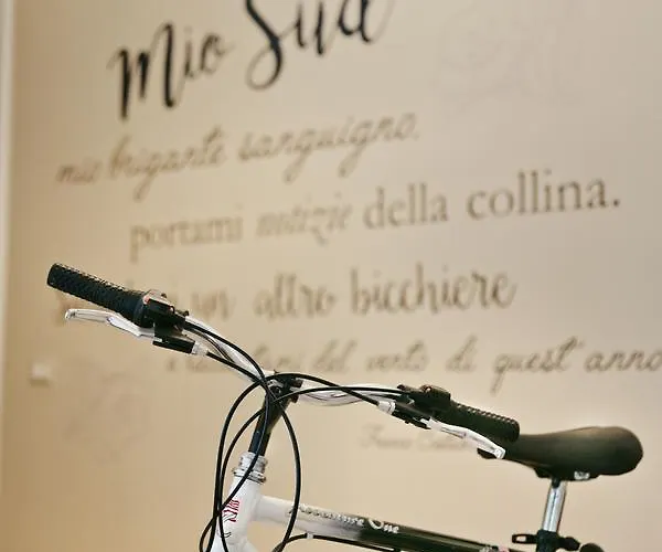 Mio Sud