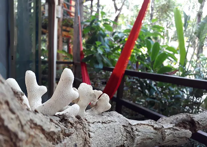 Dolce Caribe Xcaret Bed & Breakfast Playa del Carmen