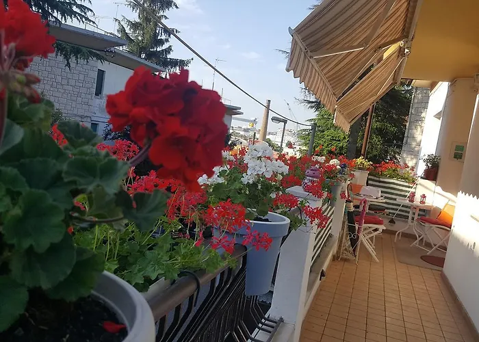 B&B Gasiso