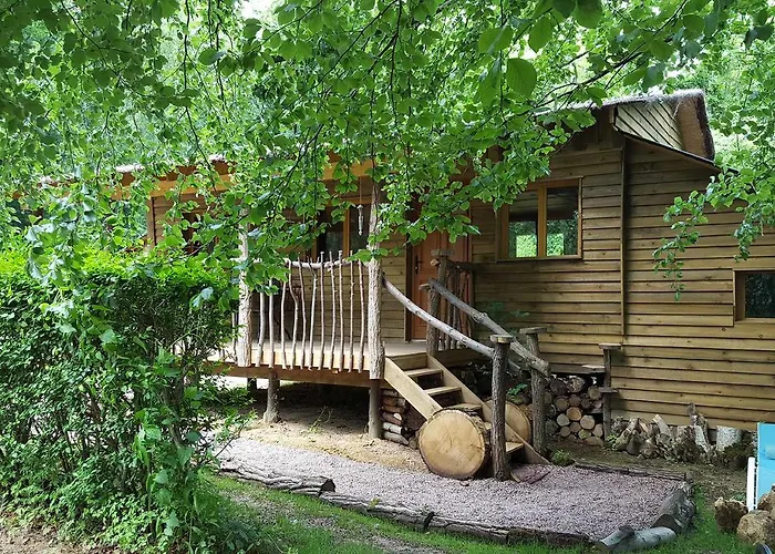 Le Coeur De La Foret