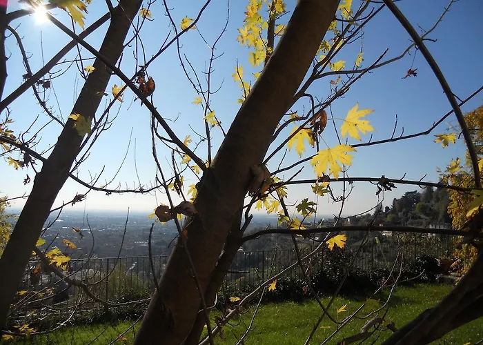 Bed & Breakfast Sant'Erasmo