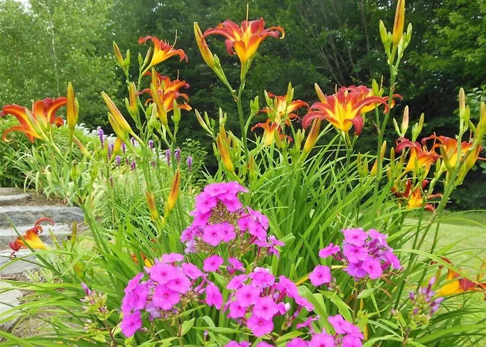 Coppertoppe Inn & Retreat Center