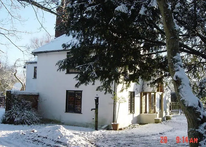 The White House