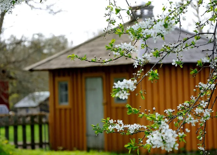 Naestegarden Bed & Breakfast