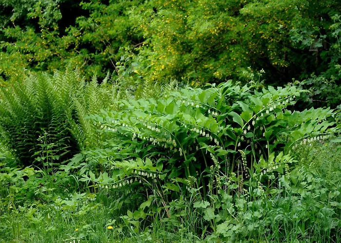 Naestegarden Bed & Breakfast