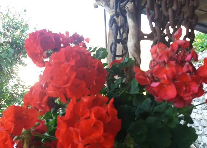 B&B Al Castel