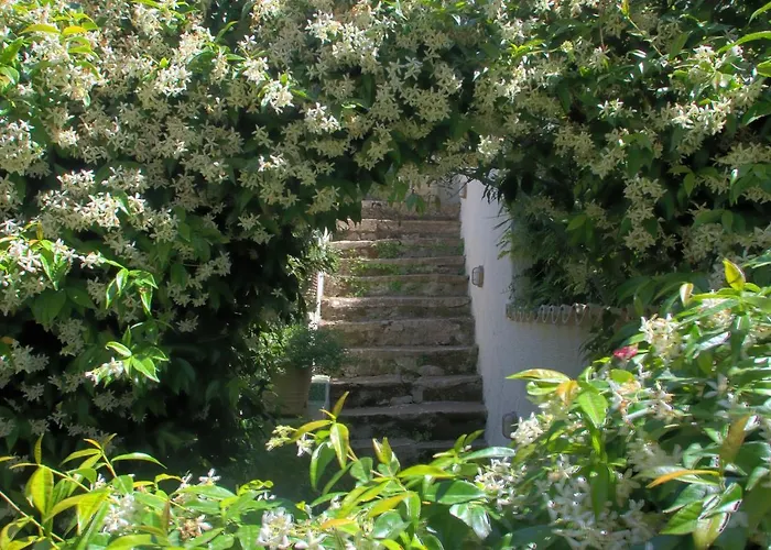 La Bouganville Gaeta