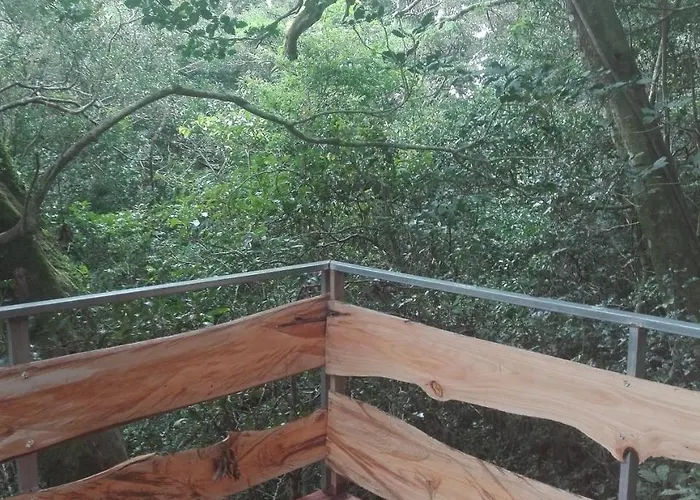 The Green Tree Lodge