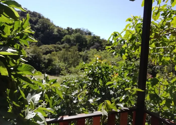 La Guayaba Monteverde