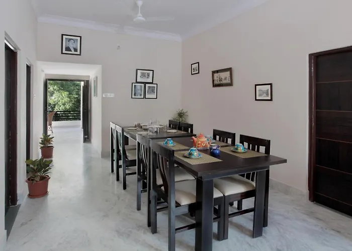 Mimosa Udaipur