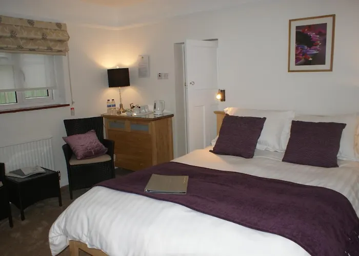 Woodacre B & B