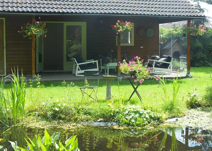B&B Houtstee