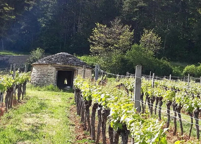 Le bois de laval