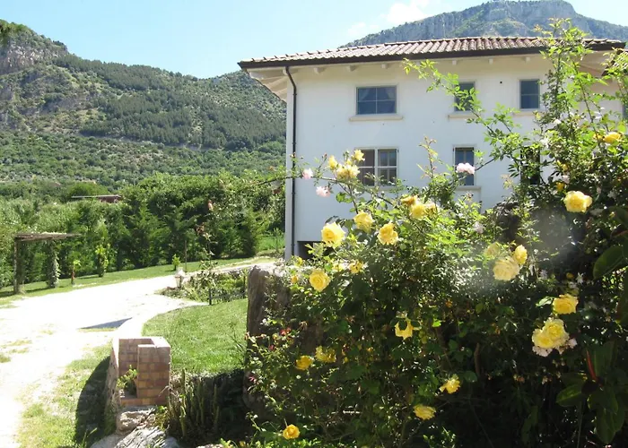 B&B Macchia d'Olmo