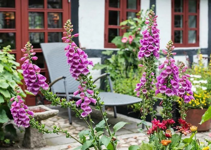 Grundfor Bed And Breakfast
