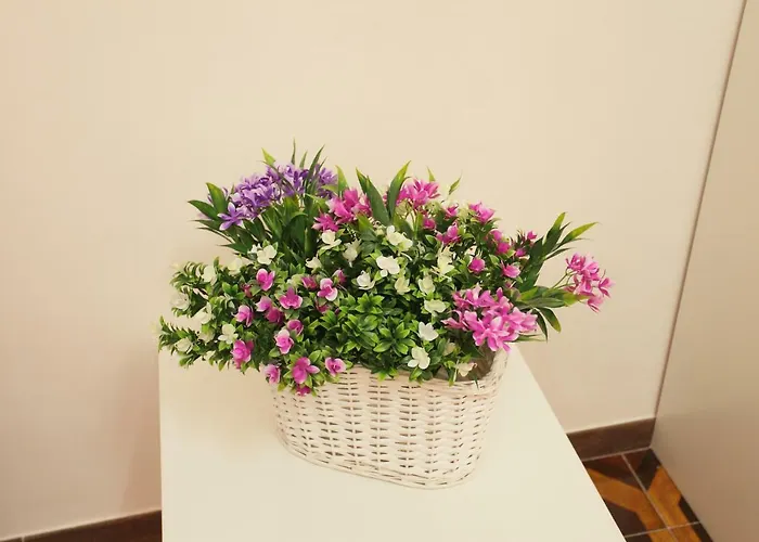 B&B San Domenico