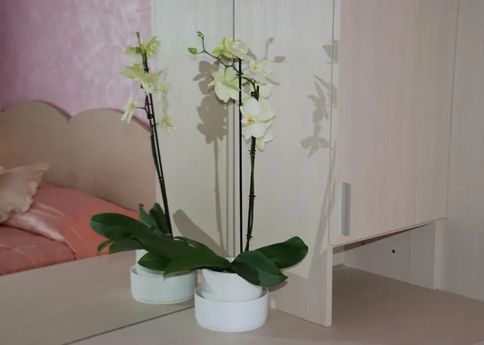 Rooms Edda