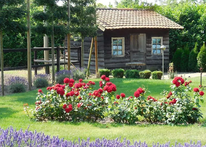 B & B " De 7 Sprong "