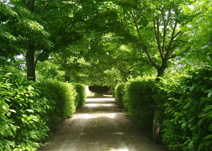 B&B I Sassetti