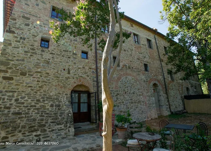 Il Bosso di Toscana