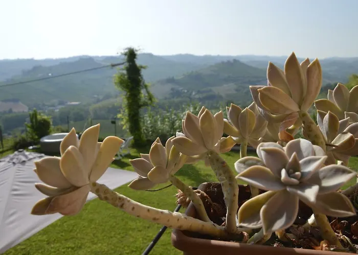I Tigli Di Altavilla