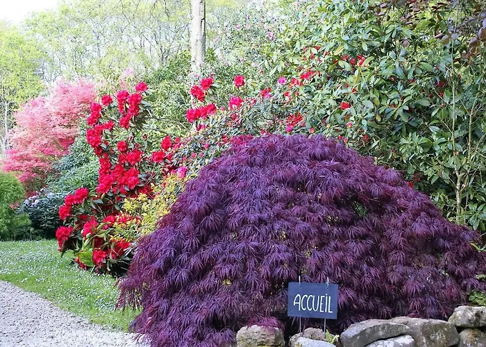 La Canopée des Pins