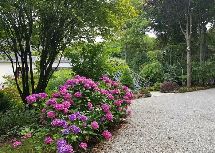 La Canopée des Pins