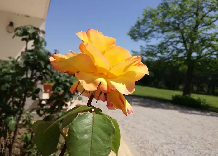B&B Villa Napoli