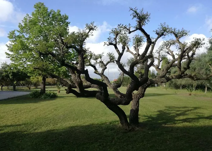 B&B Villa Napoli
