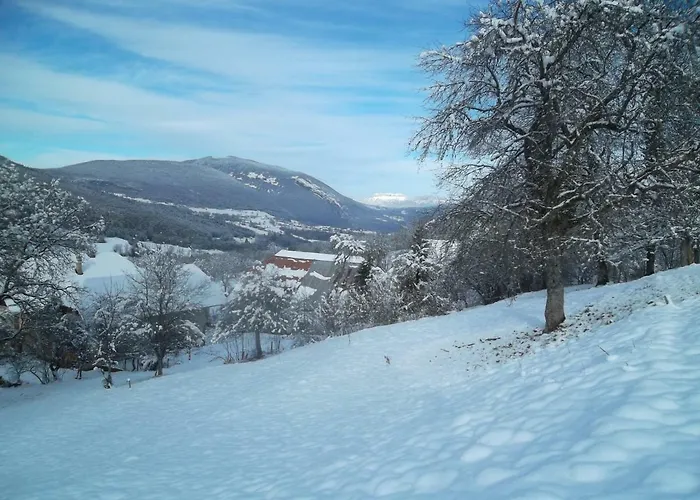 La Buissonniere