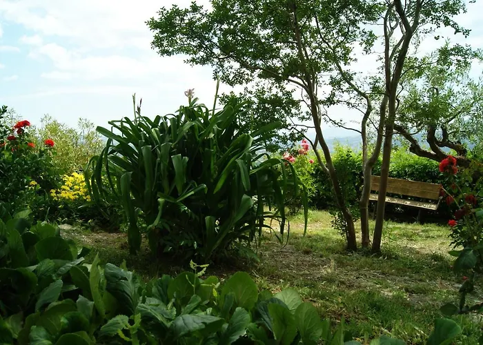 B&B Il Querceto