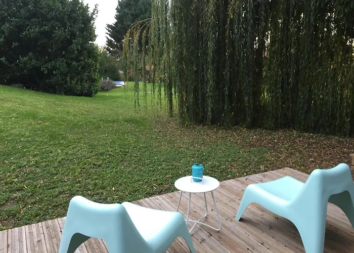 Un petit nid dans la verdure