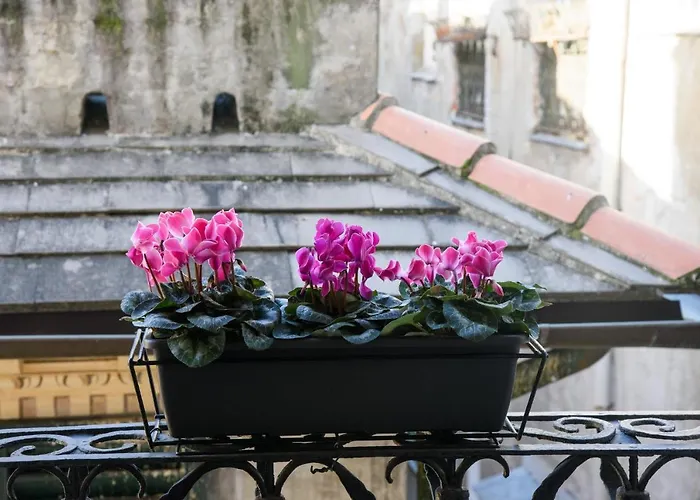 B&B Piccoli Leoni