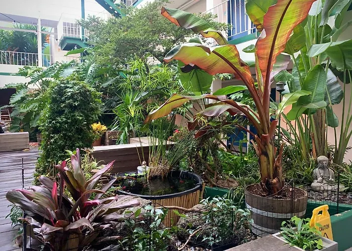 Oasis Inn