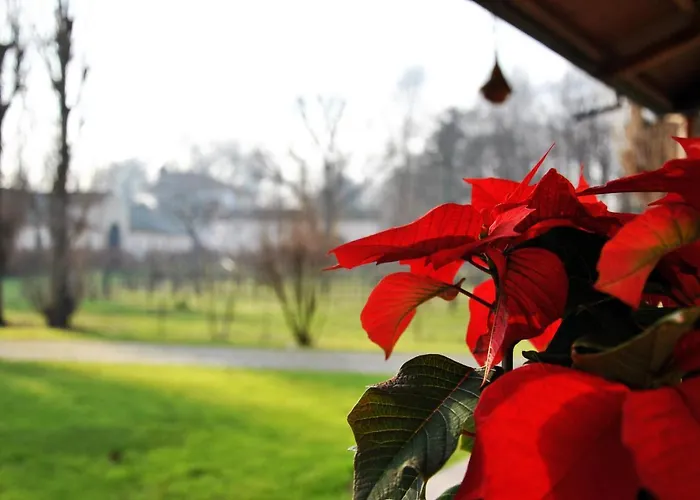 Villa Stefania