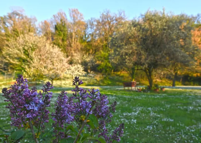 Armonia della Sera B&B - Residenza di campagna