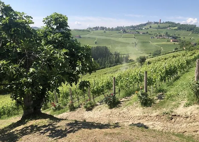 Tenuta Le More